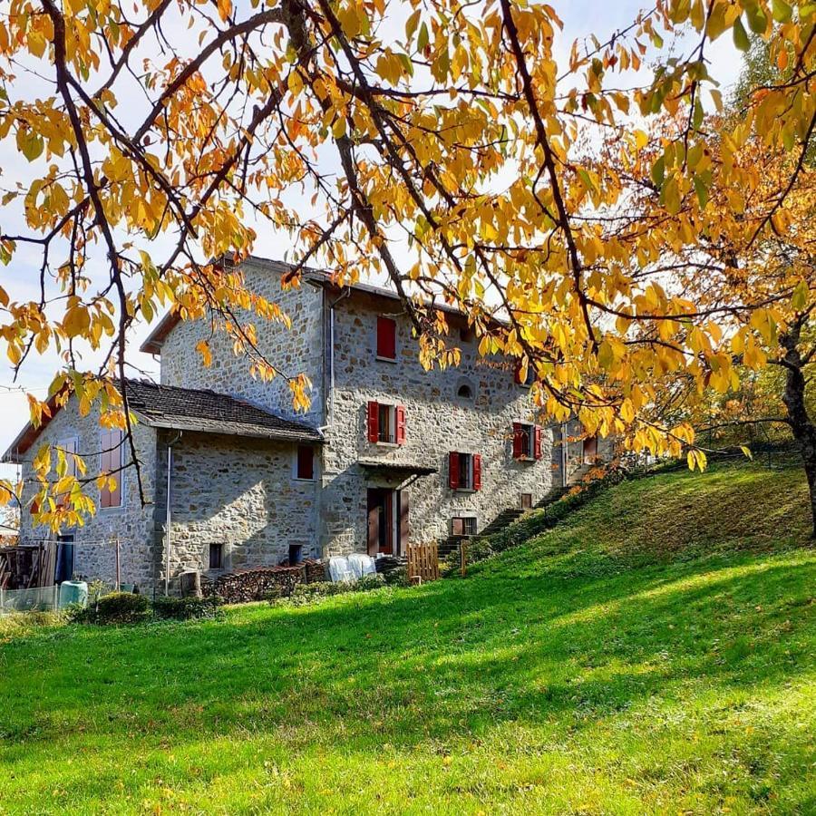 Ca Gennara Agri B&B Porretta Terme Kültér fotó