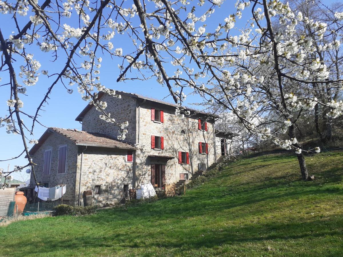 Ca Gennara Agri B&B Porretta Terme Kültér fotó