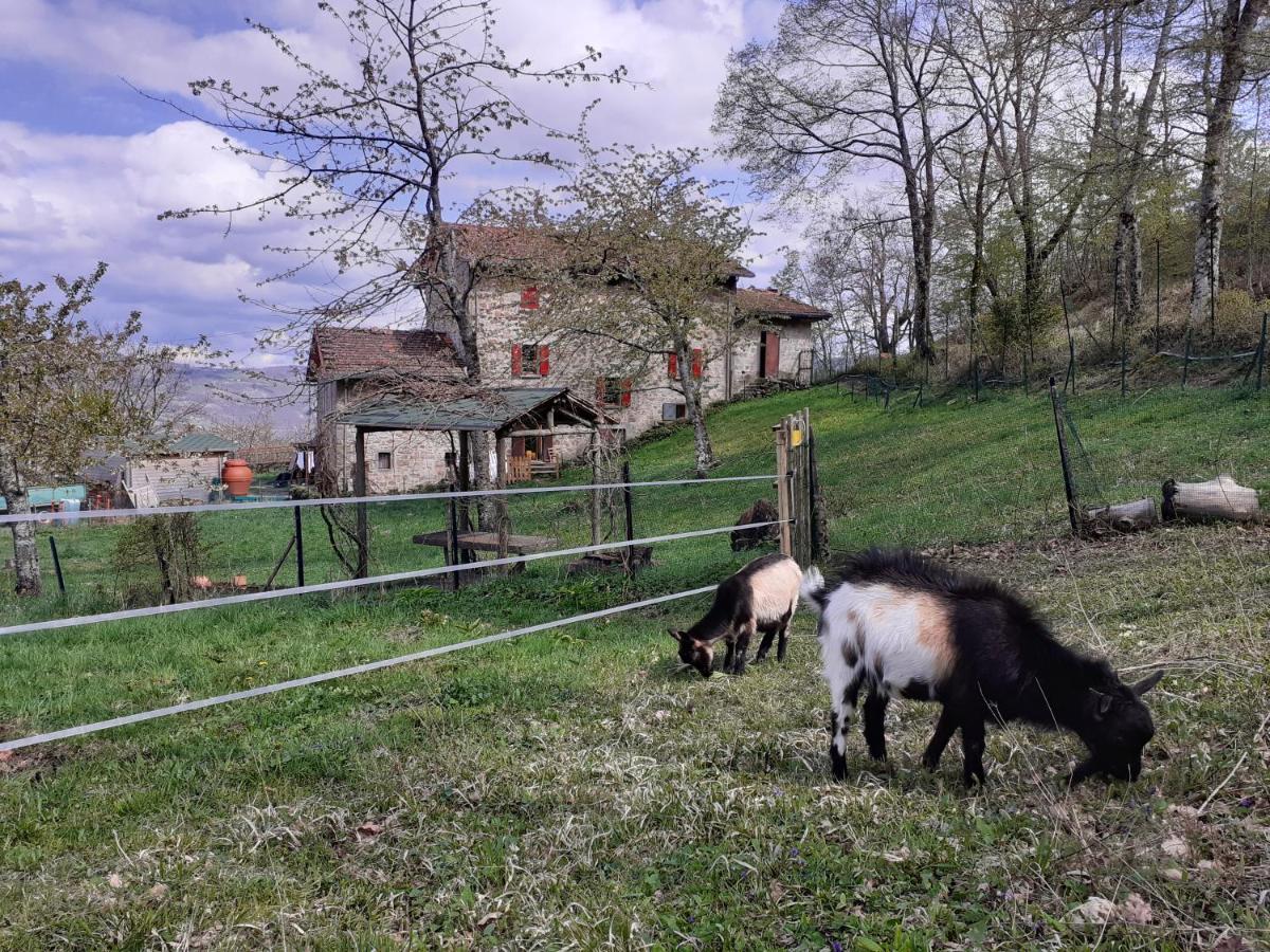 Ca Gennara Agri B&B Porretta Terme Kültér fotó