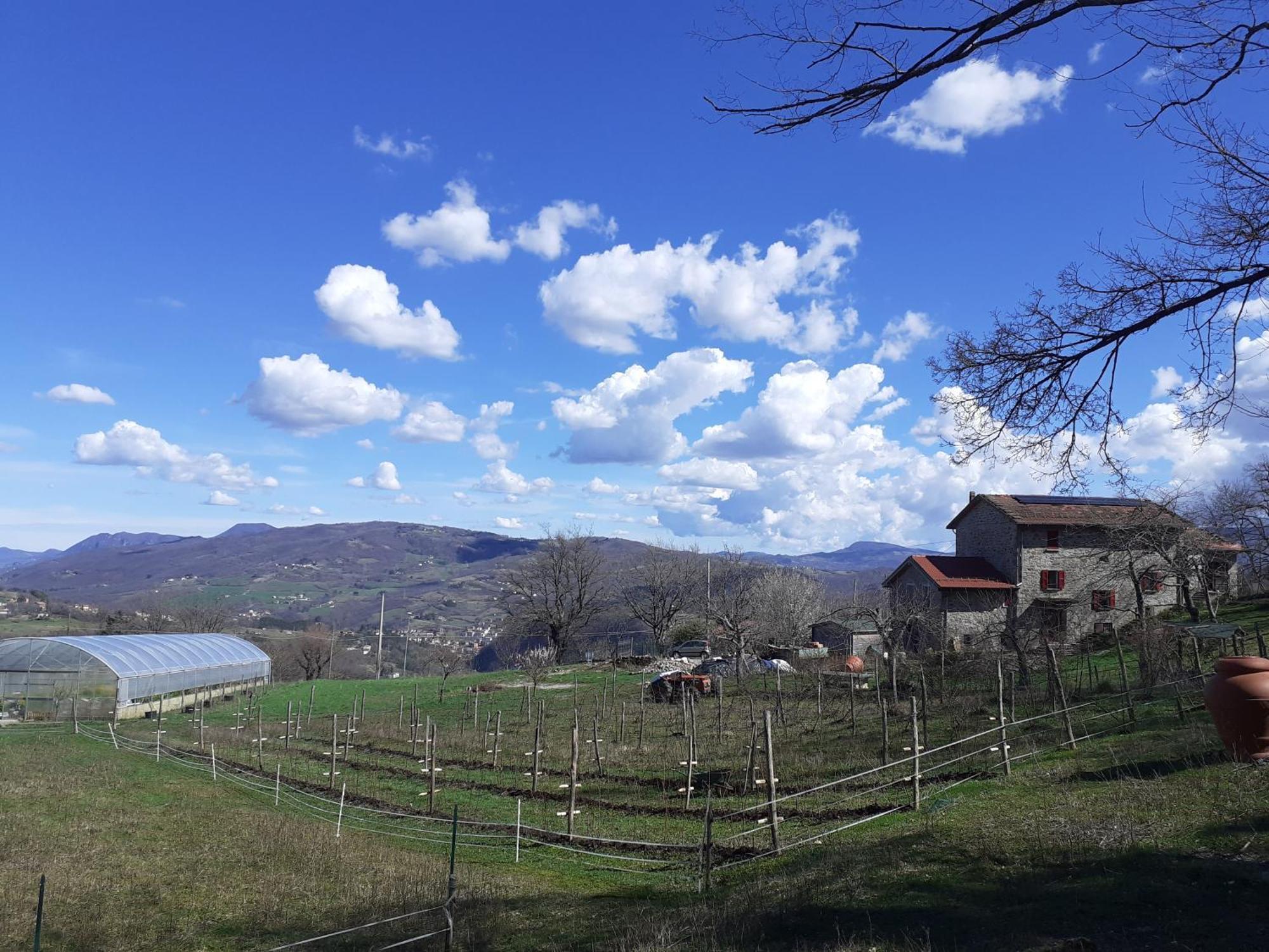 Ca Gennara Agri B&B Porretta Terme Kültér fotó