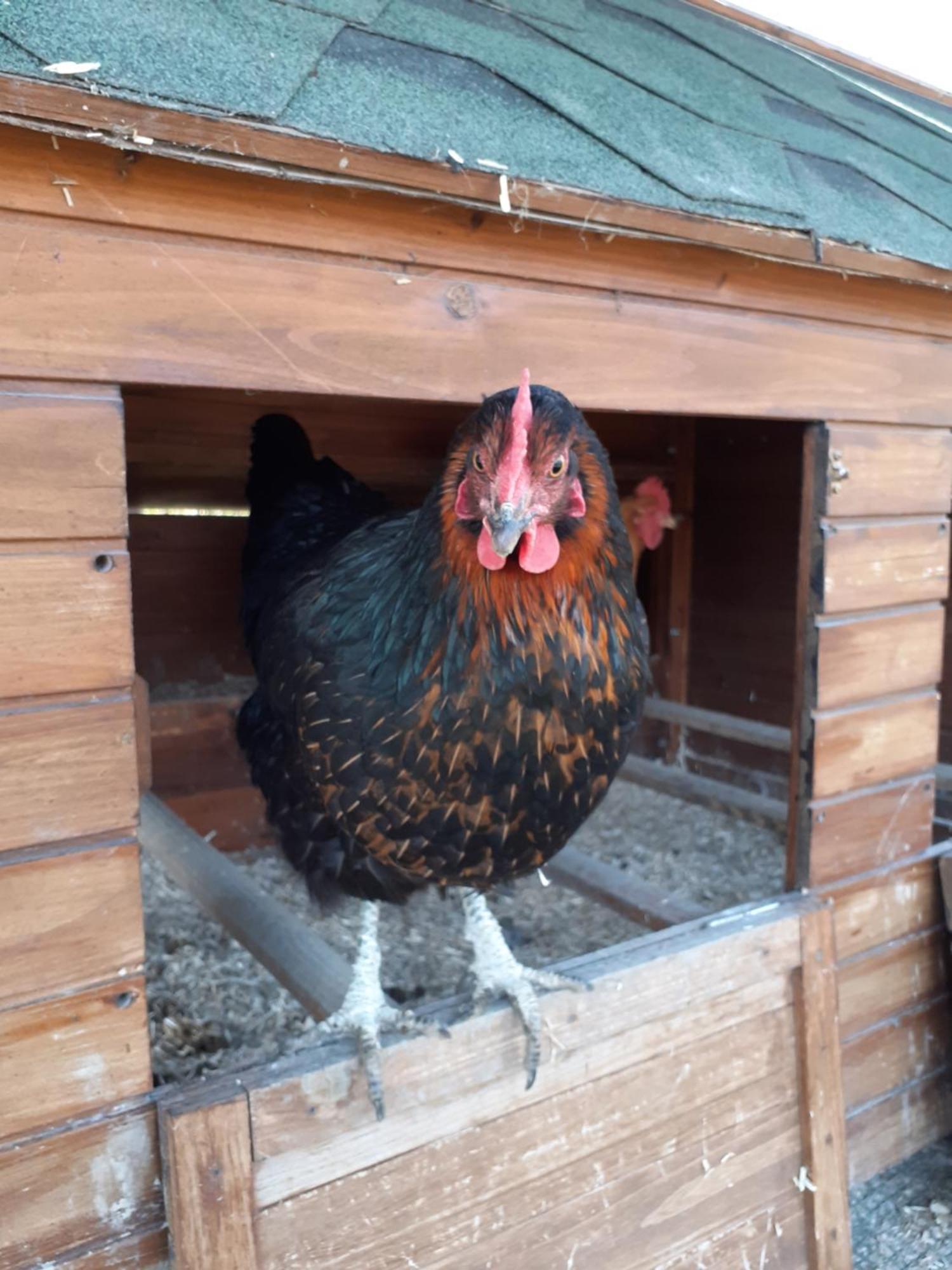 Ca Gennara Agri B&B Porretta Terme Kültér fotó